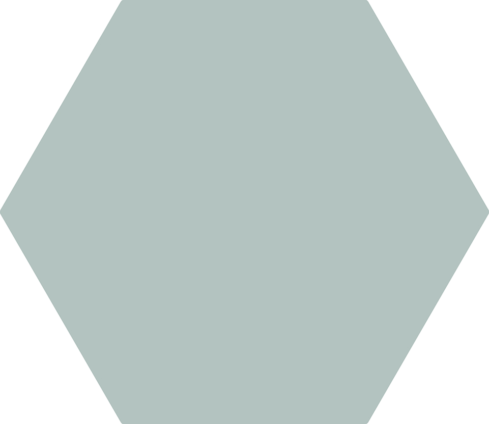 hexagon-grigio
