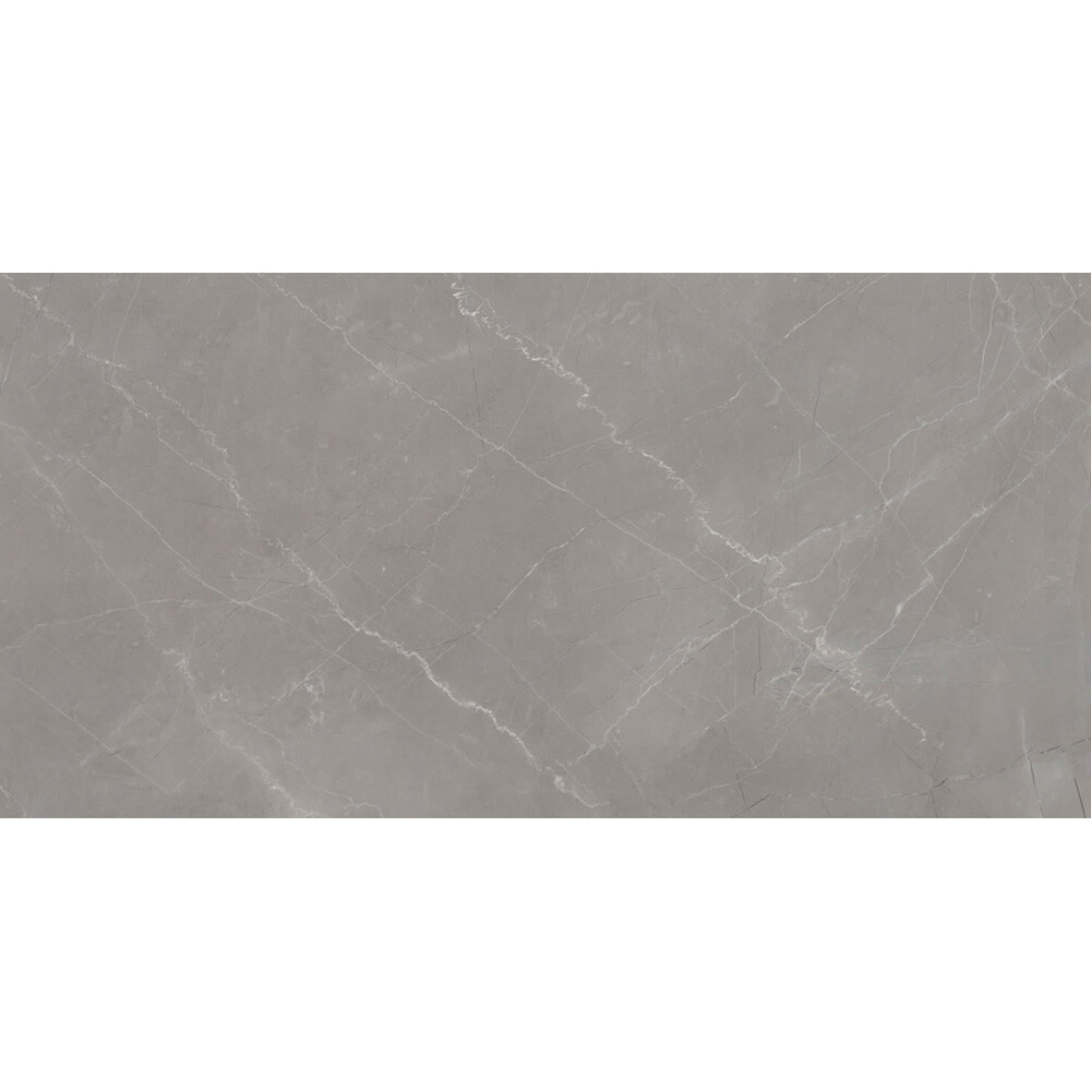palato-gray (3)