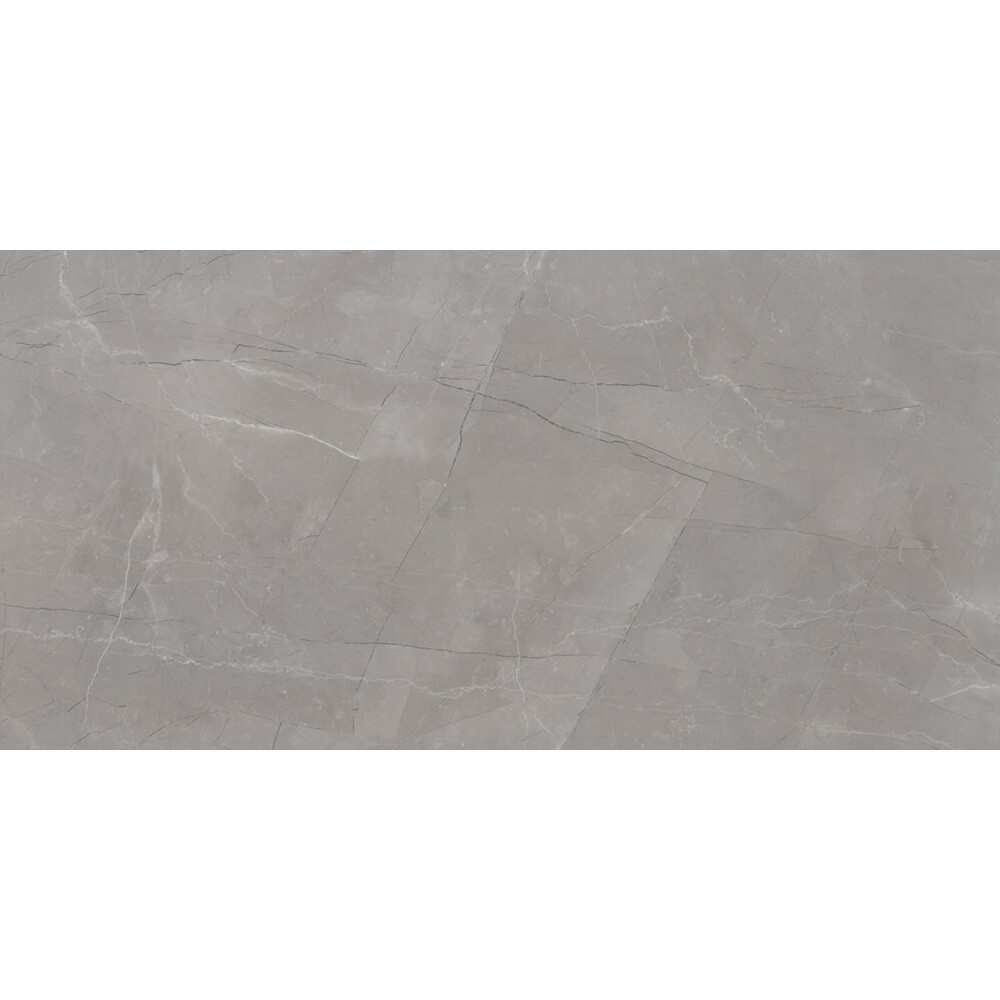 palato-gray (5)